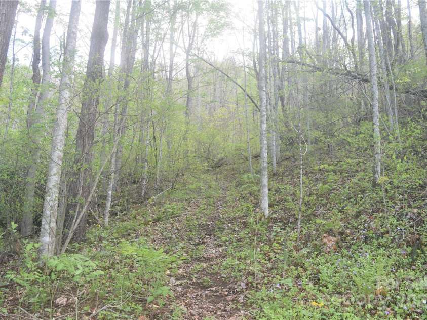 278 Kelses Valley Drive, Mars Hill, NC 28754.  MLS# CAR4204045, YatesRealty ID 11652. 