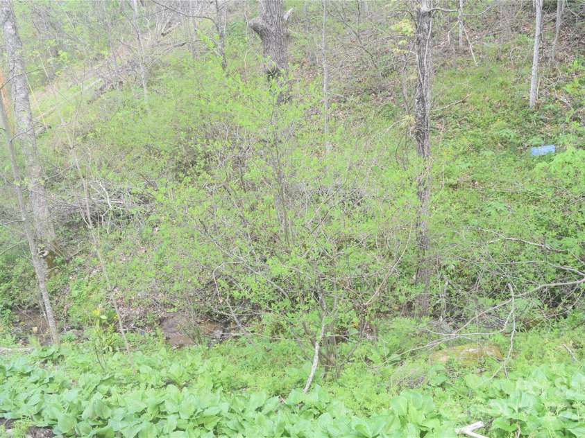 278 Kelses Valley Drive, Mars Hill, NC 28754.  MLS# CAR4204045, YatesRealty ID 11652. 