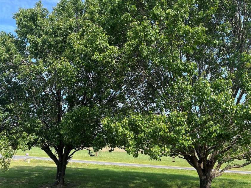 28616 Canton Road, Albemarle, NC 28001.  MLS# CAR4369843, YatesRealty ID 11661. 