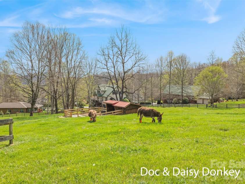 41 Trapper Lane, Waynesville, NC 28785.  MLS# CAR4366721, YatesRealty ID 11672. 