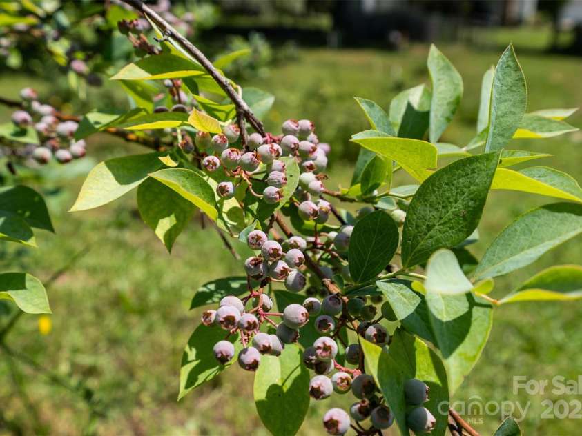 1687 Windy Hill Lane, Great Falls, SC 29055.  MLS# CAR4254857, YatesRealty ID 11690. 