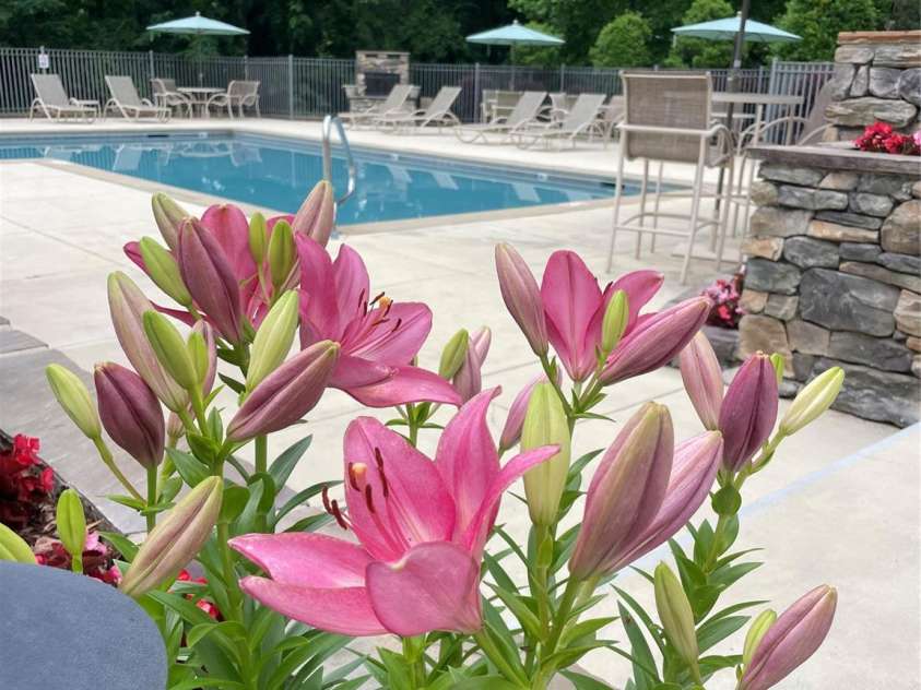 300 Vista Lake Drive, Candler, NC 28715.  MLS# CAR4274793, YatesRealty ID 11703. 