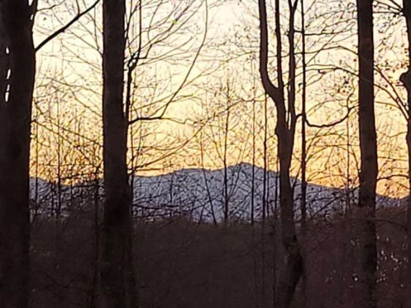 4107 Sandy Plains Road, Tryon, NC 28782.  MLS# CAR4250079, YatesRealty ID 11706. Winter Mtn View