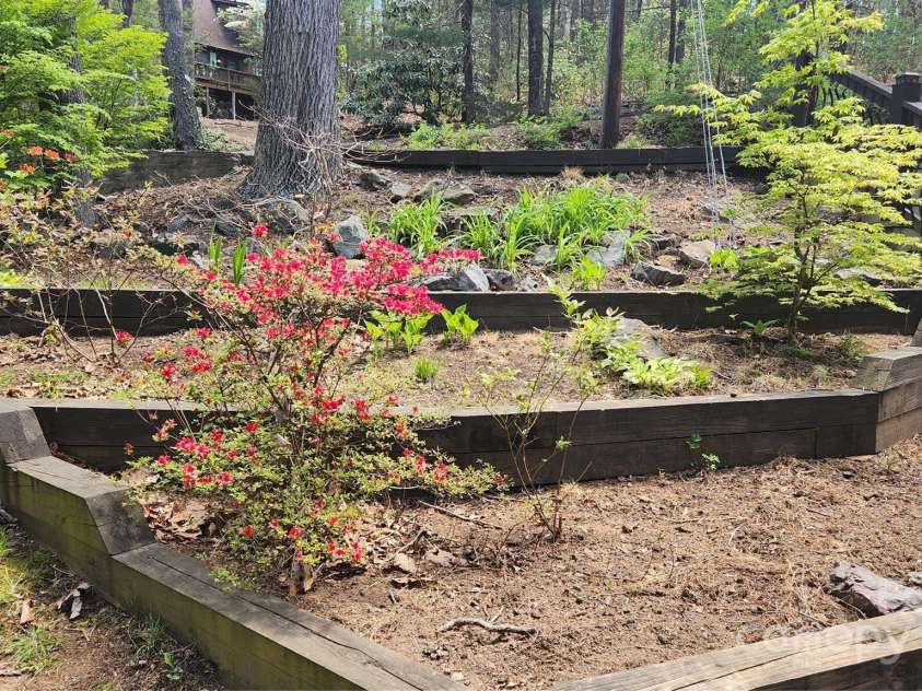 8 Quinn Court, Asheville, NC 28805.  MLS# CAR4255042, YatesRealty ID 11709. Beautiful Blooming Flowers