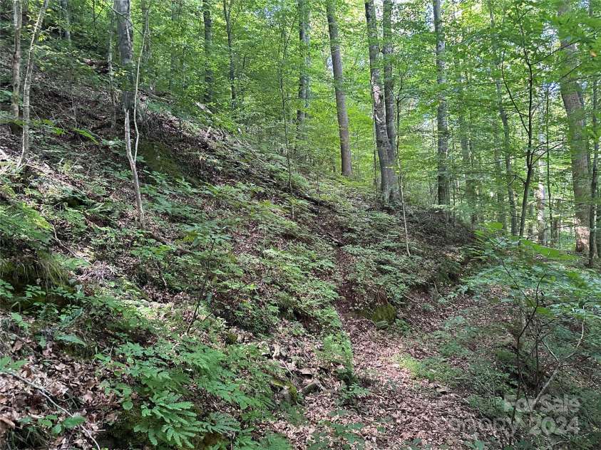 124 Wilds Branch Road, Marshall, NC 28753.  MLS# CAR4152556, YatesRealty ID 11710. 