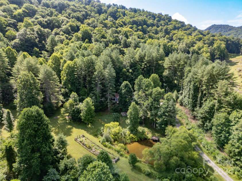 124 Wilds Branch Road, Marshall, NC 28753.  MLS# CAR4152556, YatesRealty ID 11710. Gentle woods