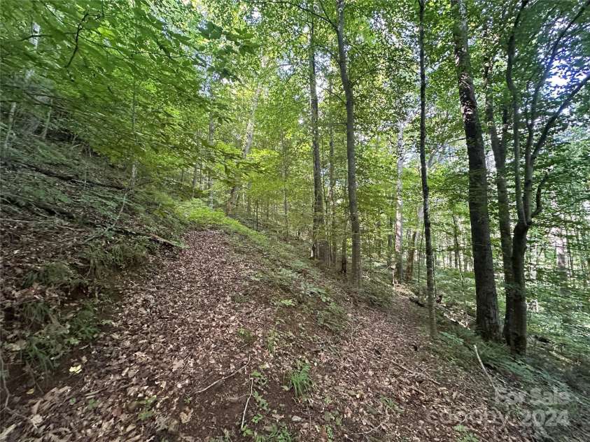 124 Wilds Branch Road, Marshall, NC 28753.  MLS# CAR4152556, YatesRealty ID 11710. Several established hiking trails