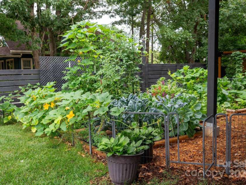 103 Pennsylvania Avenue, Asheville, NC 28806.  MLS# CAR4249512, YatesRealty ID 11734. So much Beautiful Green Vegetation