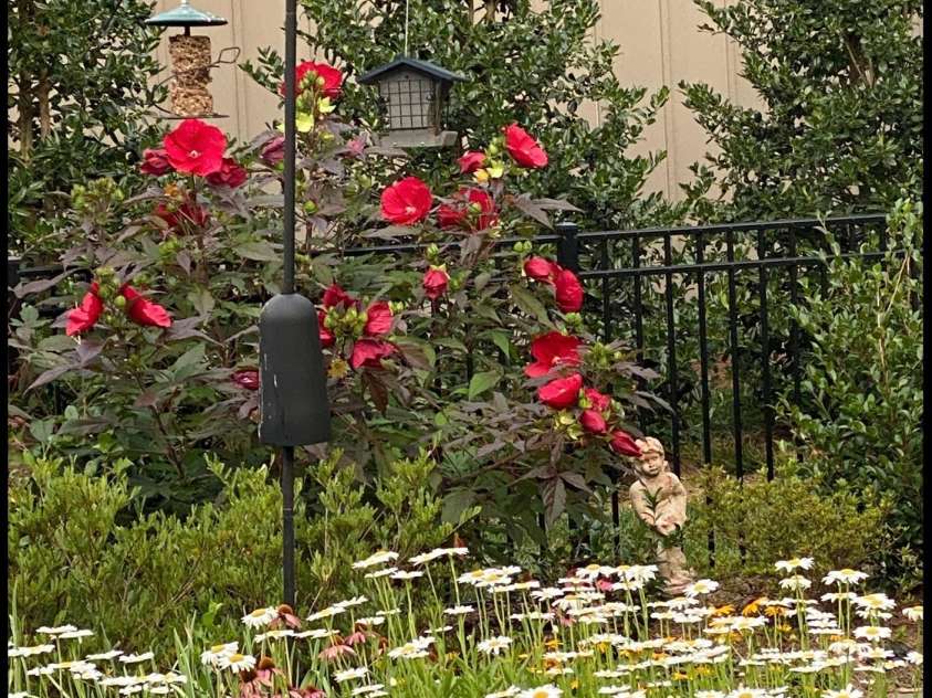 2342 Wesley Landing Road, Waxhaw, NC 28173.  MLS# CAR4238827, YatesRealty ID 11736. Summer