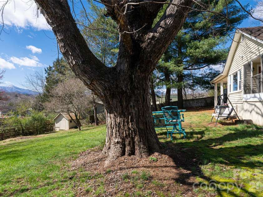 203 Pine Street, Candler, NC 28715.  MLS# CAR4357033, YatesRealty ID 11742. 