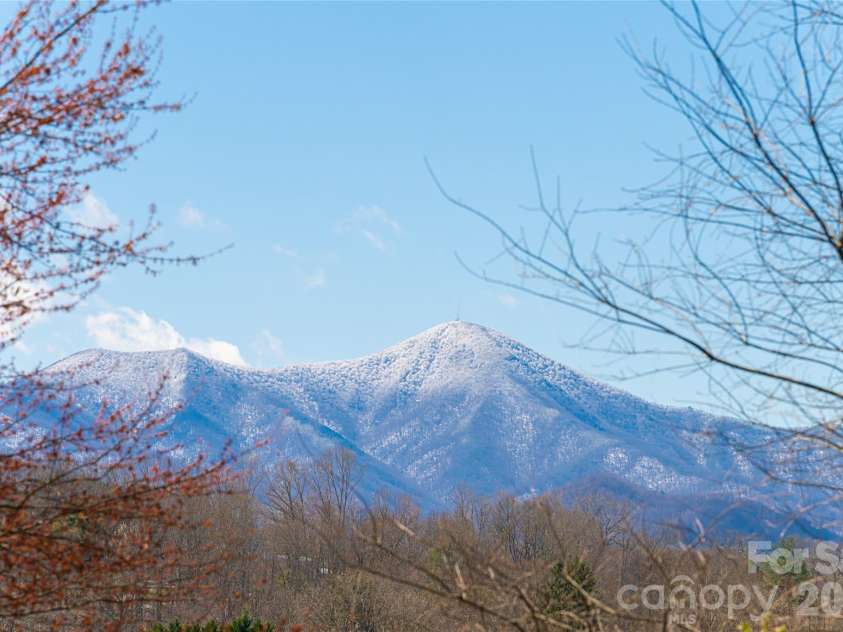 203 Pine Street, Candler, NC 28715.  MLS# CAR4357033, YatesRealty ID 11742. 