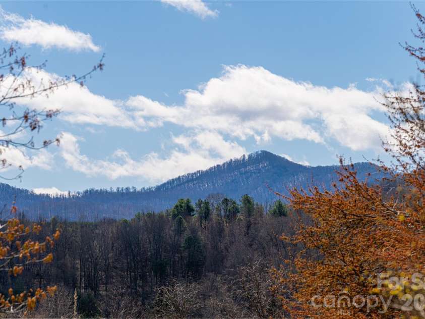 203 Pine Street, Candler, NC 28715.  MLS# CAR4357033, YatesRealty ID 11742. 