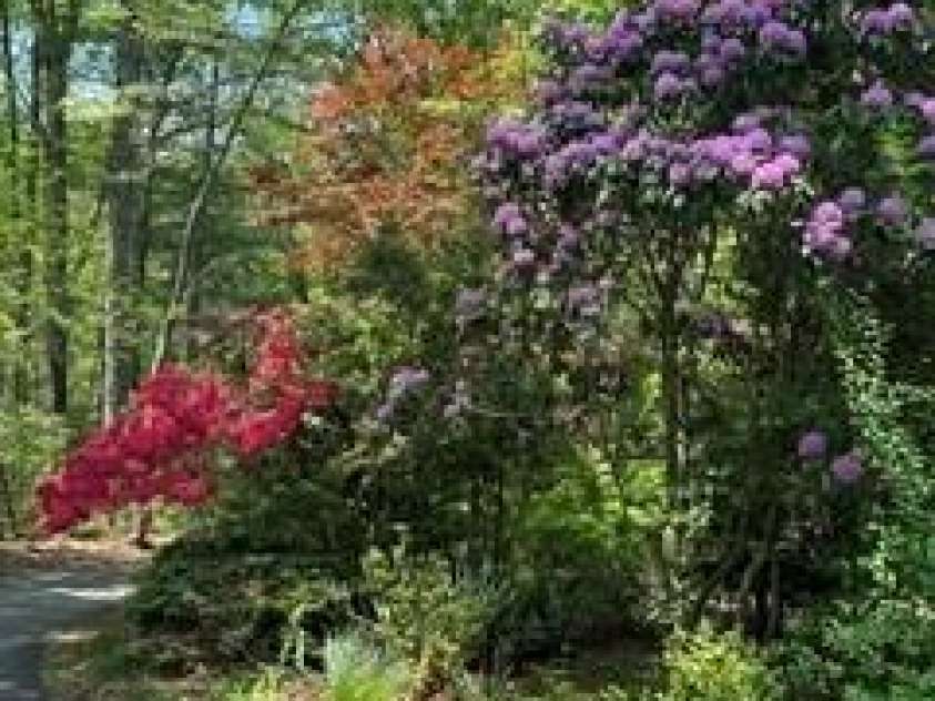 2276 Nature Lane, Lenoir, NC 28645.  MLS# CAR4366600, YatesRealty ID 11751. 