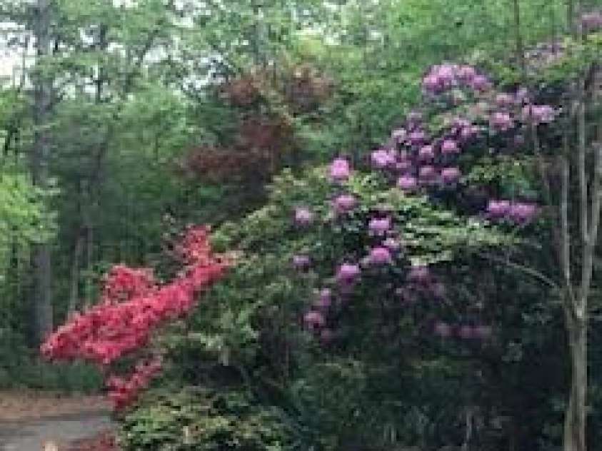 2276 Nature Lane, Lenoir, NC 28645.  MLS# CAR4366600, YatesRealty ID 11751. 