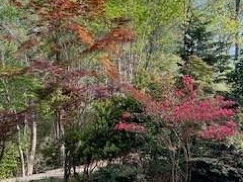 2276 Nature Lane, Lenoir, NC 28645.  MLS# CAR4366600, YatesRealty ID 11751. 