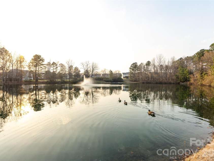 2705 Gosling Terrace Road, Charlotte, NC 28262.  MLS# CAR4366768, YatesRealty ID 11764. Pond