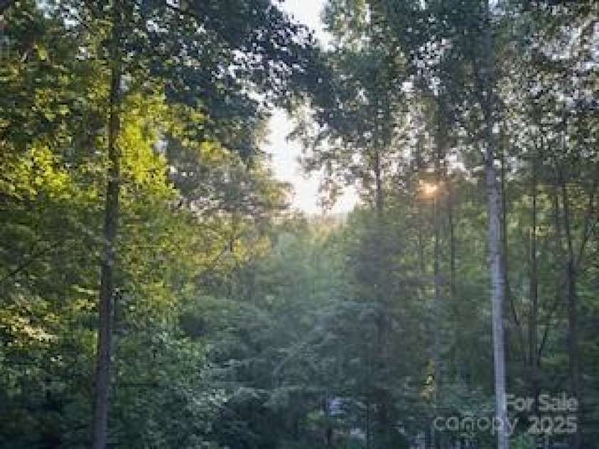 417 Blue Mist Way, Arden, NC 28704.  MLS# CAR4257048, YatesRealty ID 11792. 