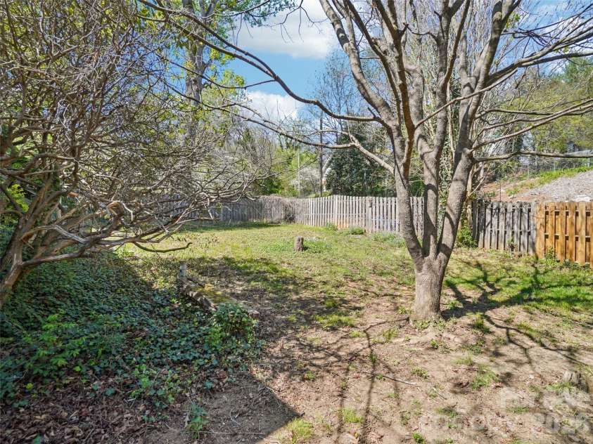 28 Kensington Drive, Asheville, NC 28805.  MLS# CAR4368193, YatesRealty ID 11814. Backyard