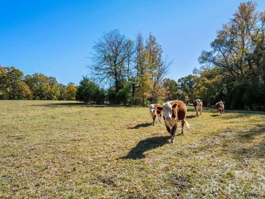 492 Starr Ridge Road, Gaffney, SC 29340.  MLS# CAR4319615, YatesRealty ID 11835. 