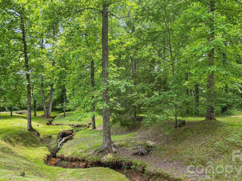 317 Chocolate Drop Circle, Union Mills, NC 28167.  MLS# CAR4337126, YatesRealty ID 1187. Common Area