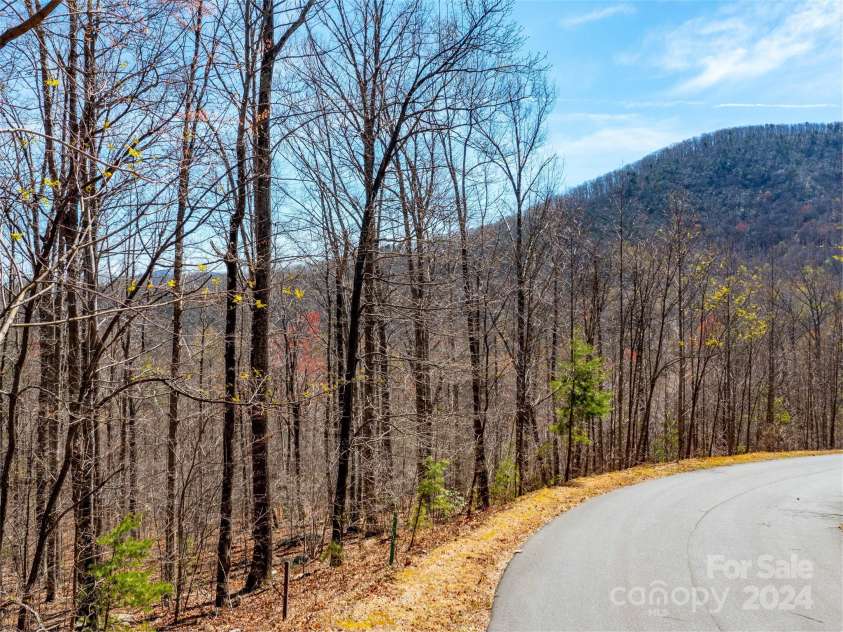 2101 Harm Creek Loop, Mill Spring, NC 28756.  MLS# CAR4198641, YatesRealty ID 11889. 