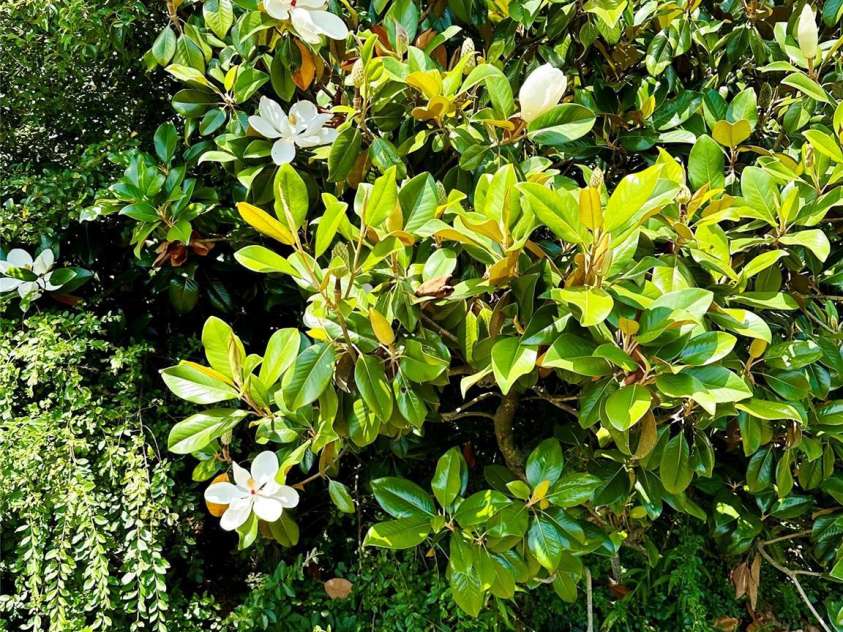 1506 Dallas Cherryville Highway, Dallas, NC 28034.  MLS# CAR4153907, YatesRealty ID 11894. 