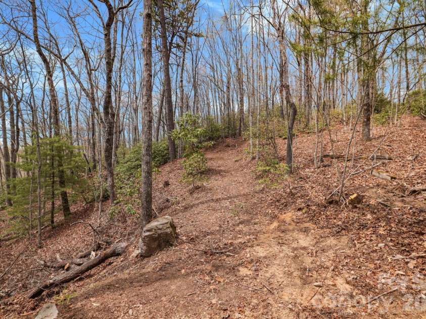 305 Stamey Creek Road, Brevard, NC 28712.  MLS# CAR4368936, YatesRealty ID 11907. 
