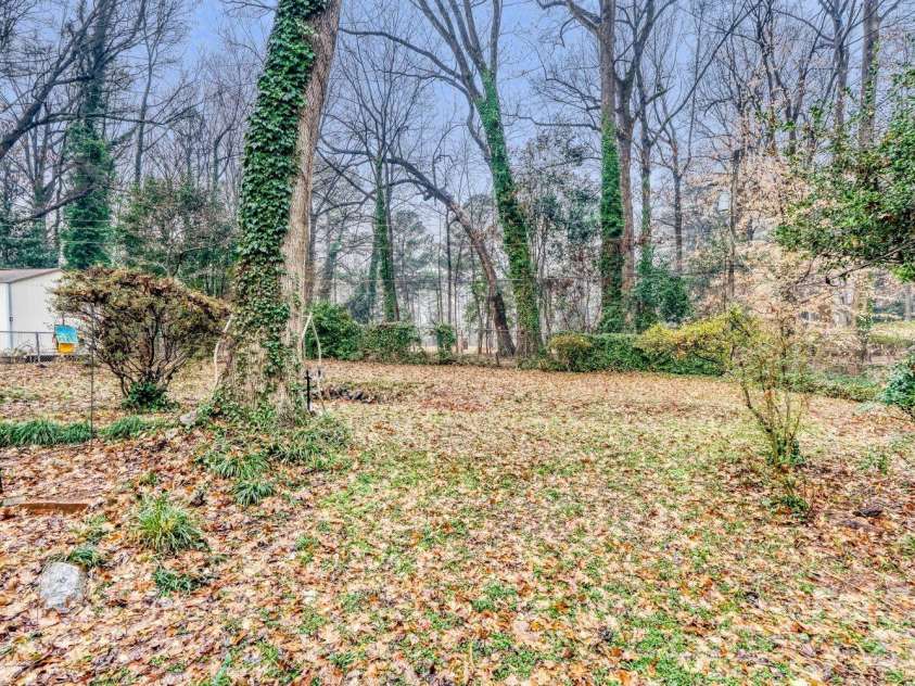 3728 Seaforth Drive, Charlotte, NC 28205.  MLS# CAR4353566, YatesRealty ID 11908. Backyard