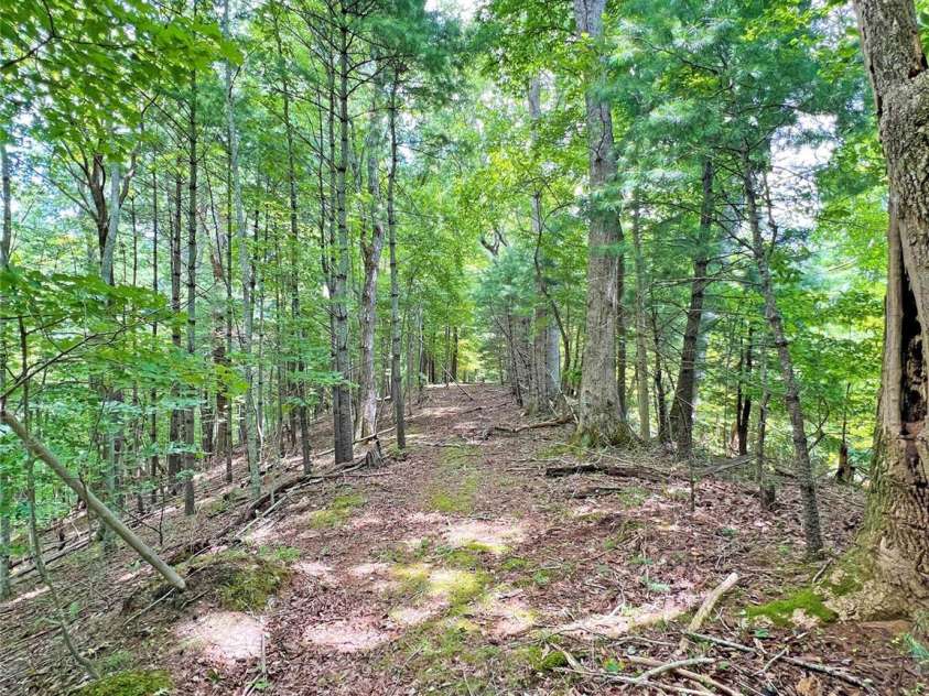 833 Sprinkle Branch Road, Marshall, NC 28753.  MLS# CAR4166794, YatesRealty ID 11960. 