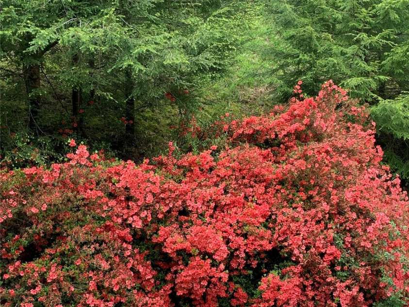 6775 NC 208 Highway, Marshall, NC 28753.  MLS# CAR4151309, YatesRealty ID 120. 