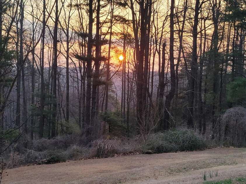 119 Tryon View Drive, Flat Rock, NC 28731.  MLS# CAR4239625, YatesRealty ID 12011. 