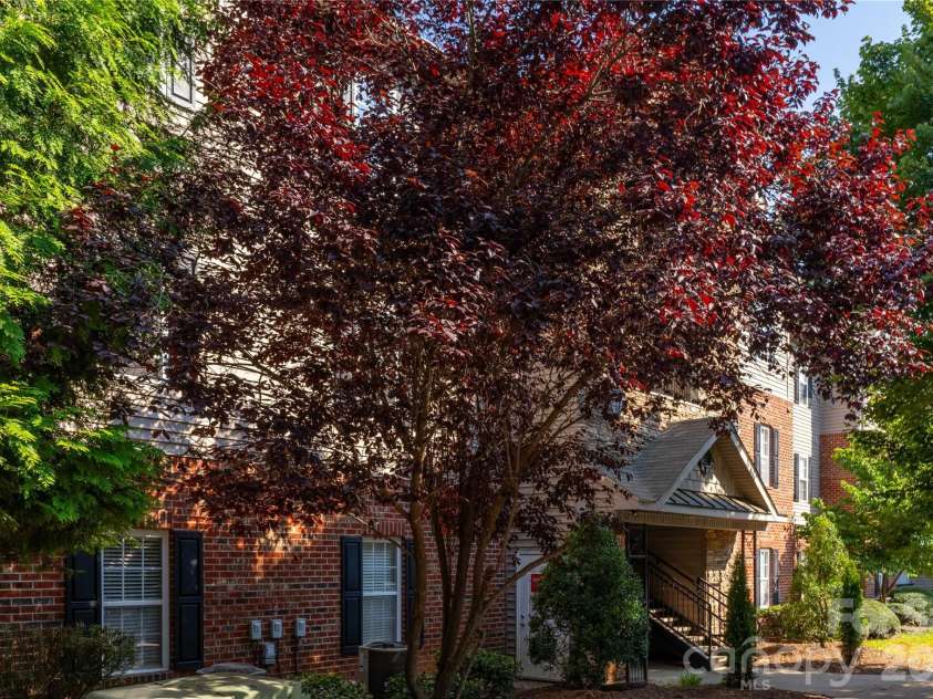 332 Appeldoorn Circle, Asheville, NC 28803.  MLS# CAR4279509, YatesRealty ID 12027. 