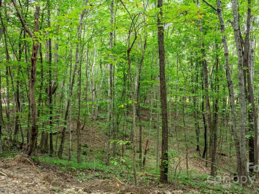 206 Rocky Top Road, Taylorsville, NC 28681.  MLS# CAR4295744, YatesRealty ID 1204. 