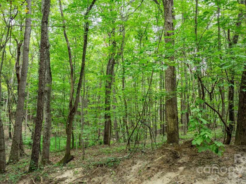 206 Rocky Top Road, Taylorsville, NC 28681.  MLS# CAR4295744, YatesRealty ID 1204. 