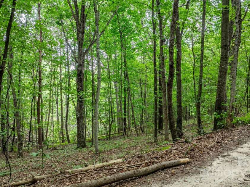 206 Rocky Top Road, Taylorsville, NC 28681.  MLS# CAR4295744, YatesRealty ID 1204. 