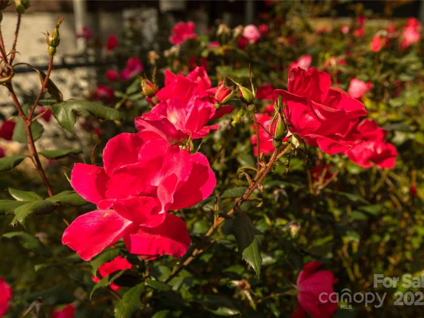 186 Brookshire Road, Leicester, NC 28748.  MLS# CAR4317548, YatesRealty ID 12054. 