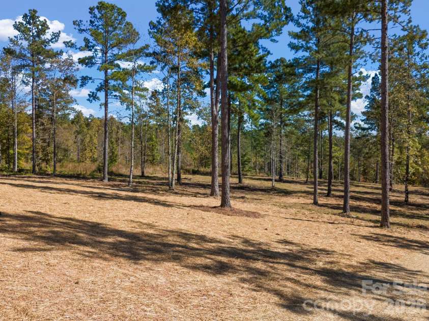 2024 Jumping Run, Connelly Springs, NC 28612.  MLS# CAR4336928, YatesRealty ID 1206. Beautiful view of the private, nature-filled back yard