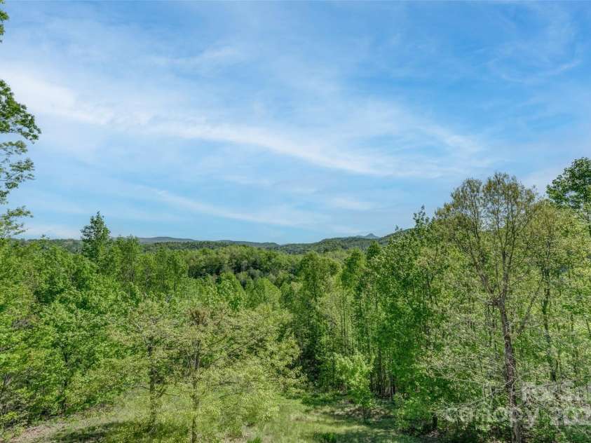 883 Big Raven Lane, Saluda, NC 28773.  MLS# CAR4252562, YatesRealty ID 12123. 