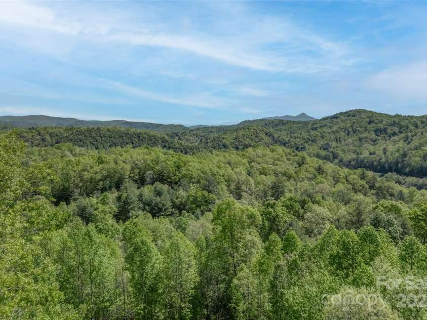 883 Big Raven Lane, Saluda, NC 28773.  MLS# CAR4252562, YatesRealty ID 12123. 