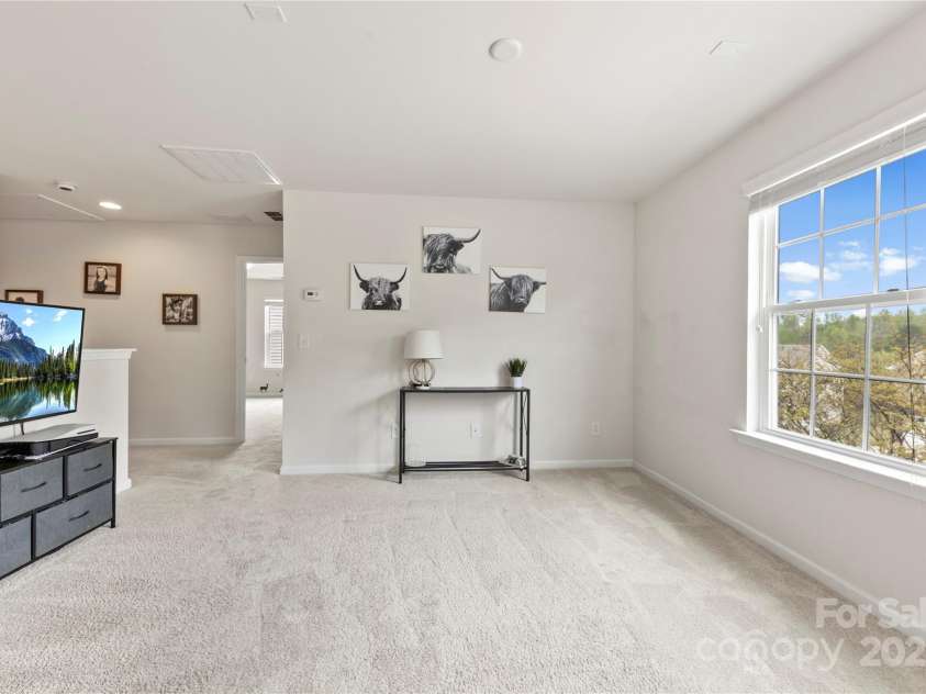 10773 Sapphire Trail, Davidson, NC 28036.  MLS# CAR4240601, YatesRealty ID 12160. 