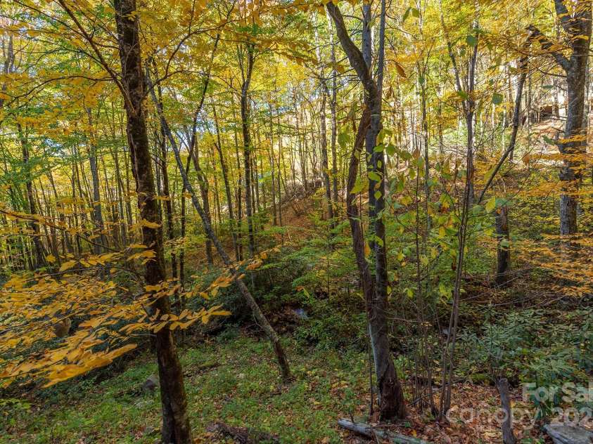 100 Candlemaker Trail, Maggie Valley, NC 28751.  MLS# CAR4249616, YatesRealty ID 12191. 