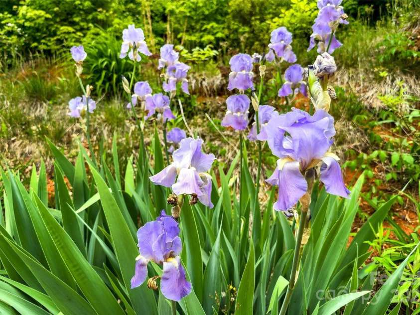 1294 Waites Hollifield Road, Marion, NC 28752.  MLS# CAR4256633, YatesRealty ID 12201. 