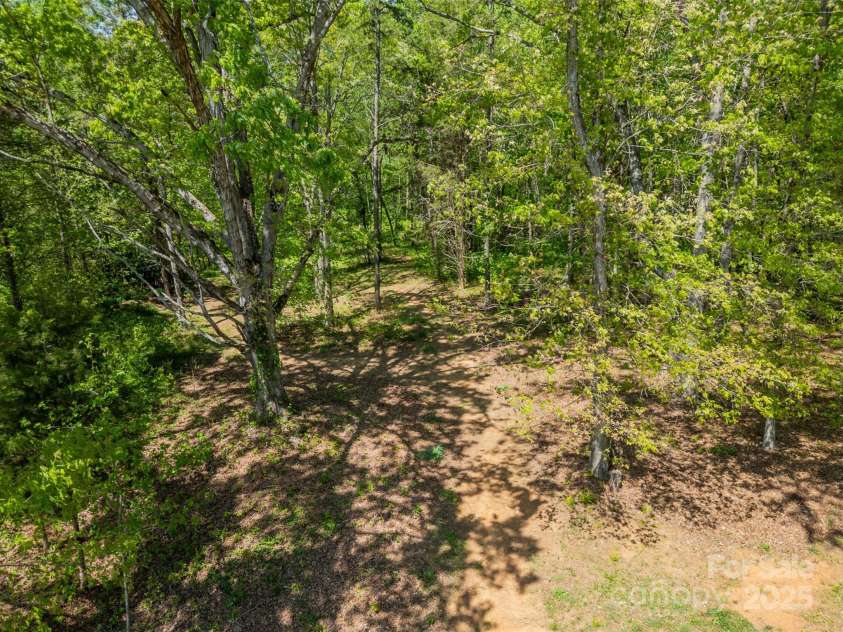 228 Red Dog Drive, Mooresville, NC 28115.  MLS# CAR4245955, YatesRealty ID 12253. 300 years in the making, a tree to be cherished and enjoying picnics