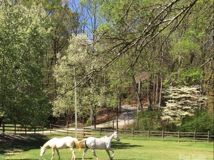 228 Red Dog Drive, Mooresville, NC 28115.  MLS# CAR4245955, YatesRealty ID 12253. Pastures are fenced in safe board, vinyl and electricbraid