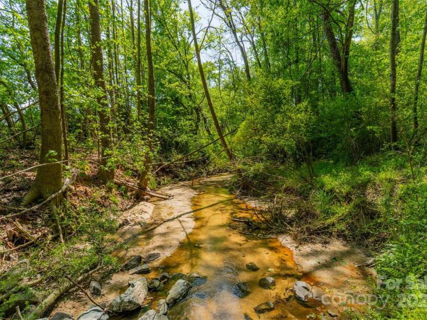 228 Red Dog Drive, Mooresville, NC 28115.  MLS# CAR4245955, YatesRealty ID 12253. Time spent in the creek hunting for crawfish, frogs and cooling off