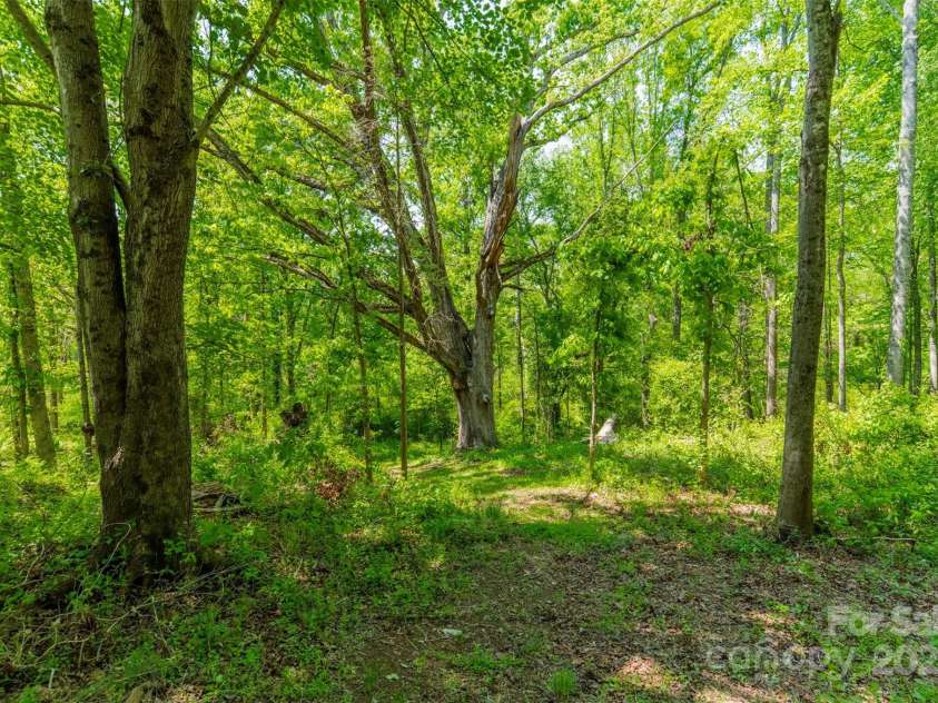 228 Red Dog Drive, Mooresville, NC 28115.  MLS# CAR4245955, YatesRealty ID 12253. Trail riding in the summer under the umbrella of the mature hardwoods is an ideal place to ride during the heat of the day