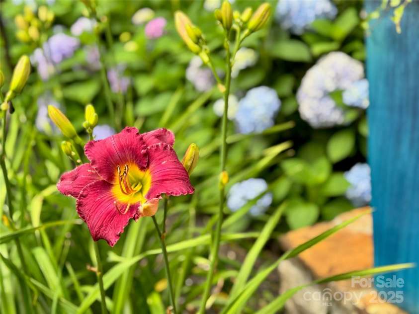 56 Chimney Crest Drive, Asheville, NC 28806.  MLS# CAR4235691, YatesRealty ID 12268. 