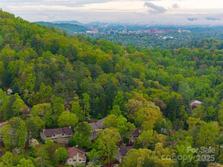 1901 Timber Trail, Asheville, NC 28804.  MLS# CAR4252207, YatesRealty ID 12288. 