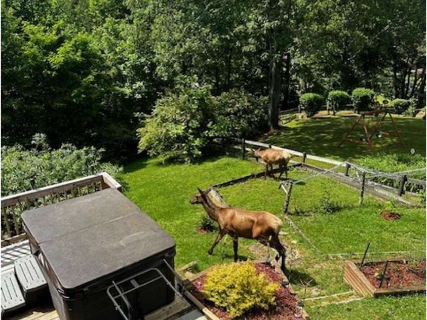 102 Sanctuary Road, Maggie Valley, NC 28751.  MLS# CAR4349147, YatesRealty ID 12356. 