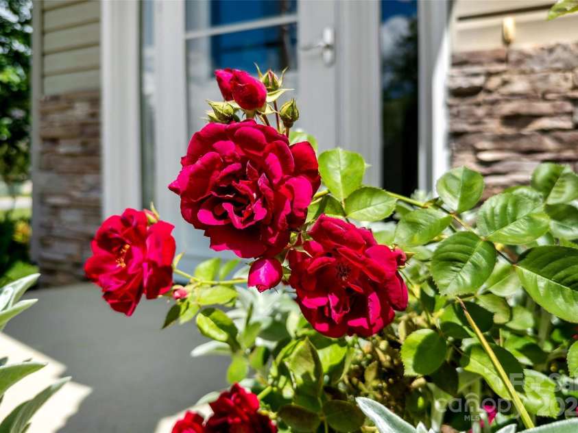 8 Cherry Laurel Lane, Swannanoa, NC 28778.  MLS# CAR4254009, YatesRealty ID 12369. 